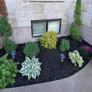 Tiered garden design with a mix of flowers and shrubs.