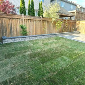 Finished backyard landscape with new grass and flower borders.