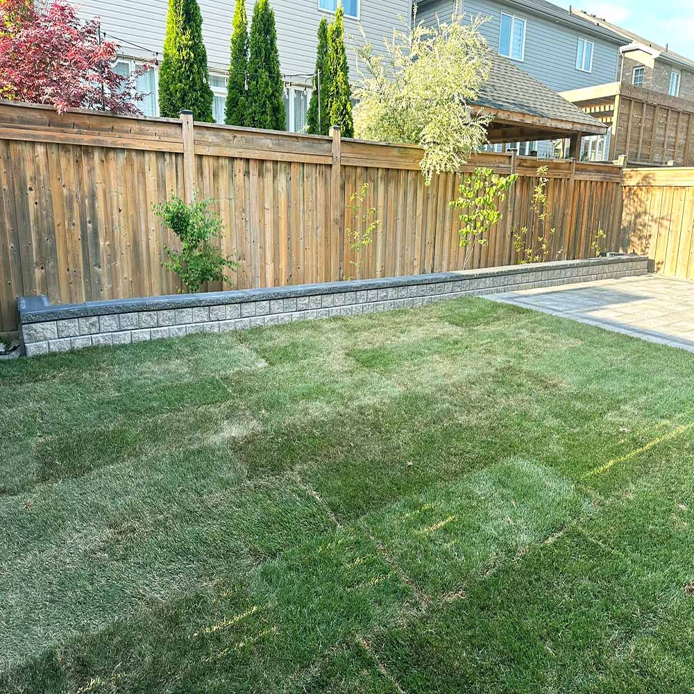 Finished backyard landscape with new grass and flower borders.