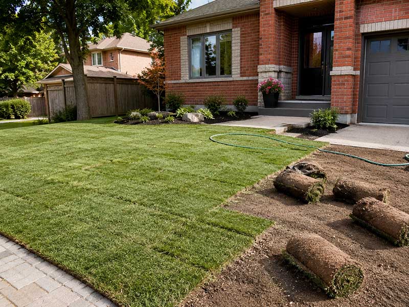 Sod Installation